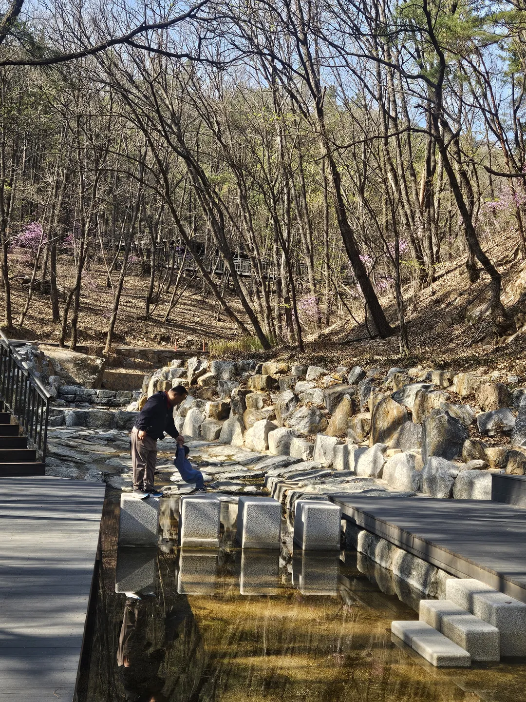 수락산 유아숲체험장 사진 16