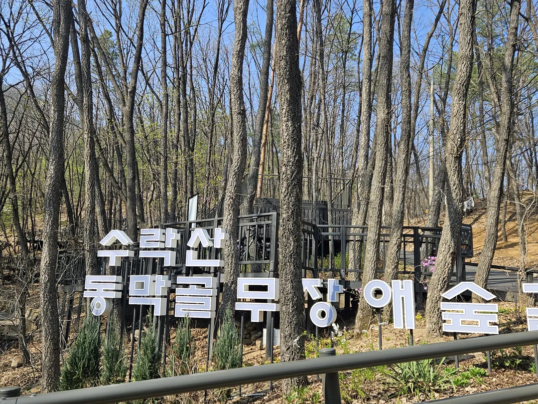 수락산 유아숲체험장 사진 17