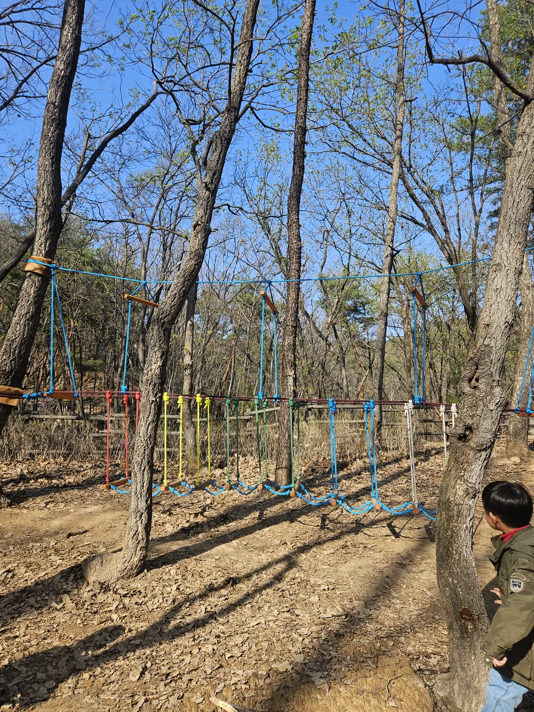 수락산 유아숲체험장 사진 13