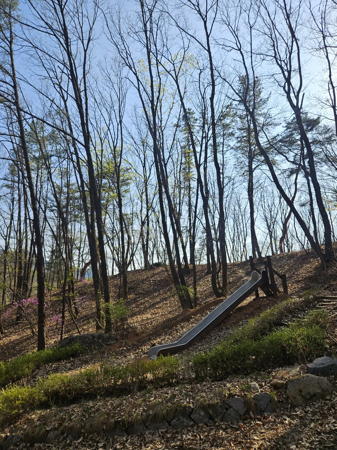 수락산 유아숲체험장 사진 14