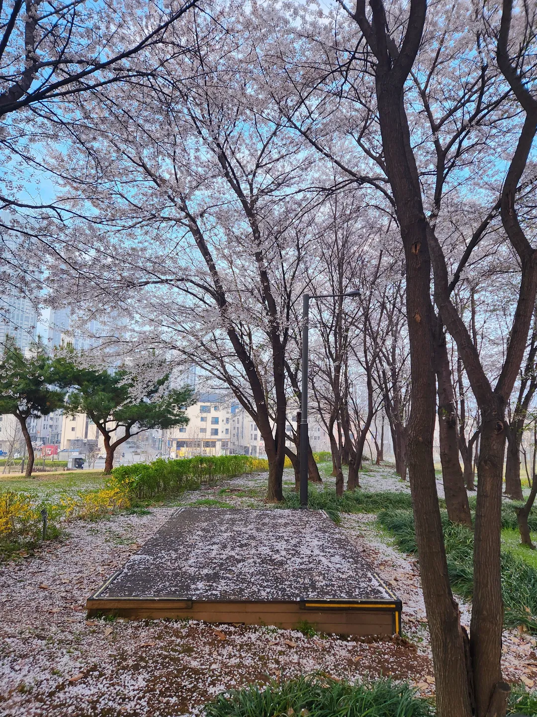 함박산중앙공원 사진 9