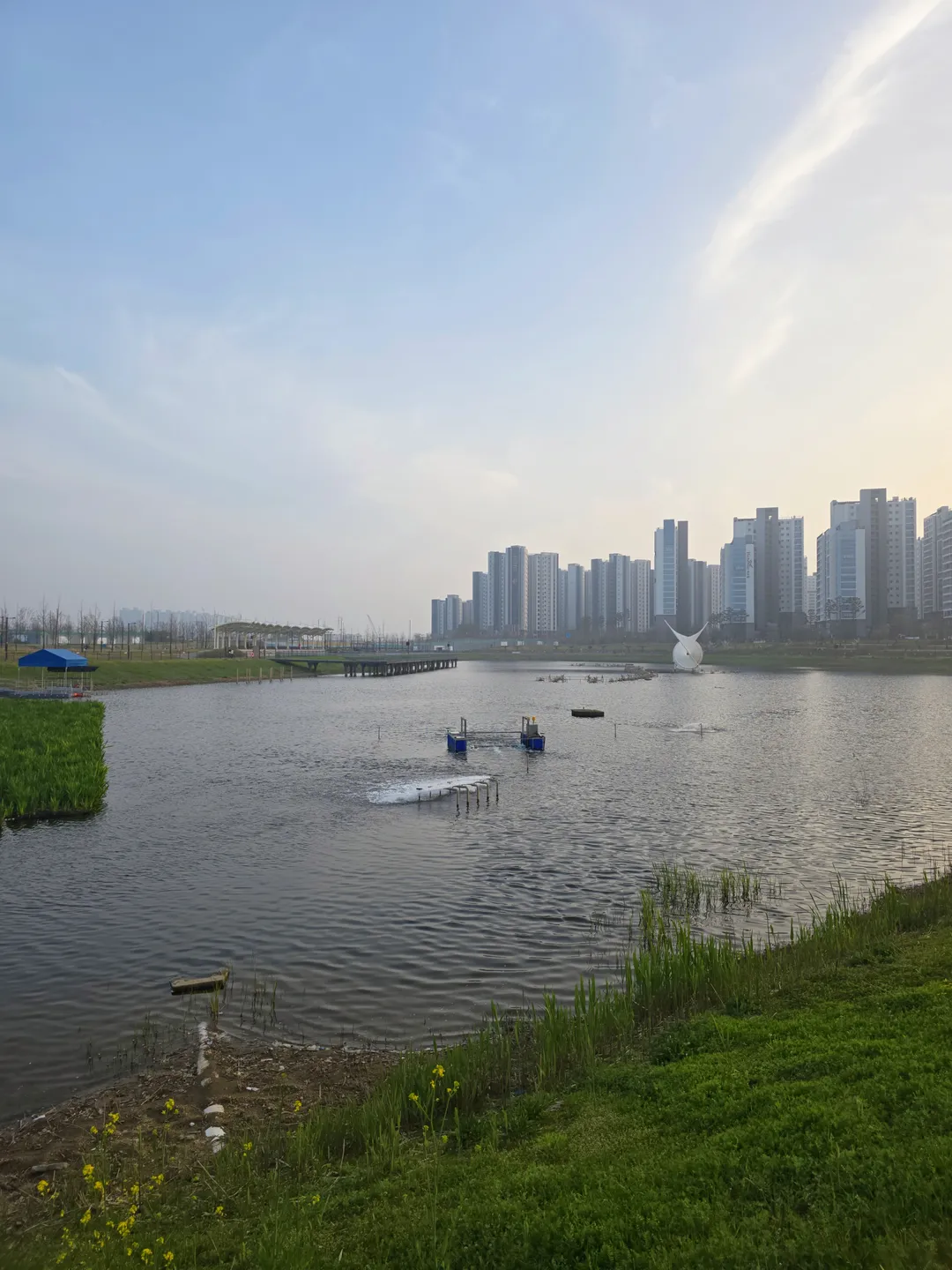 함박산중앙공원 사진 13
