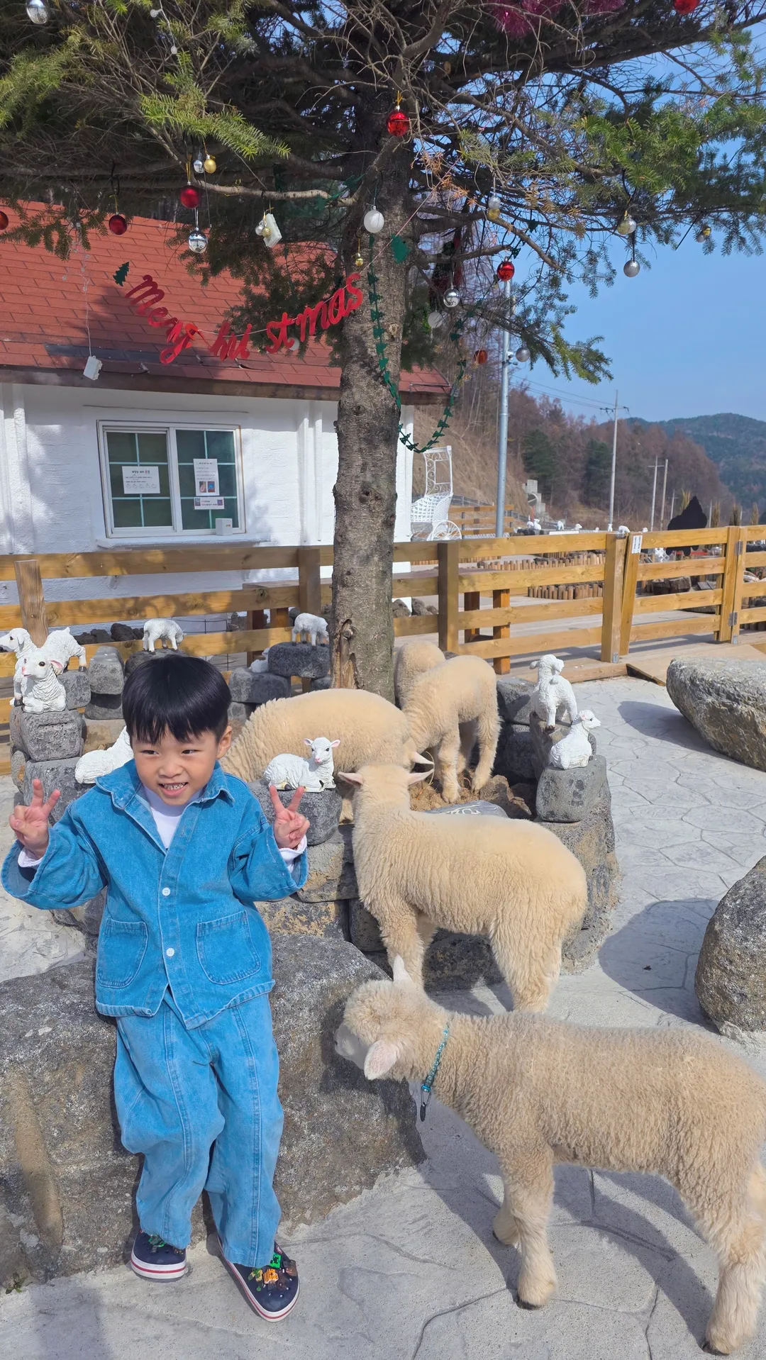 하양목장 사진 7