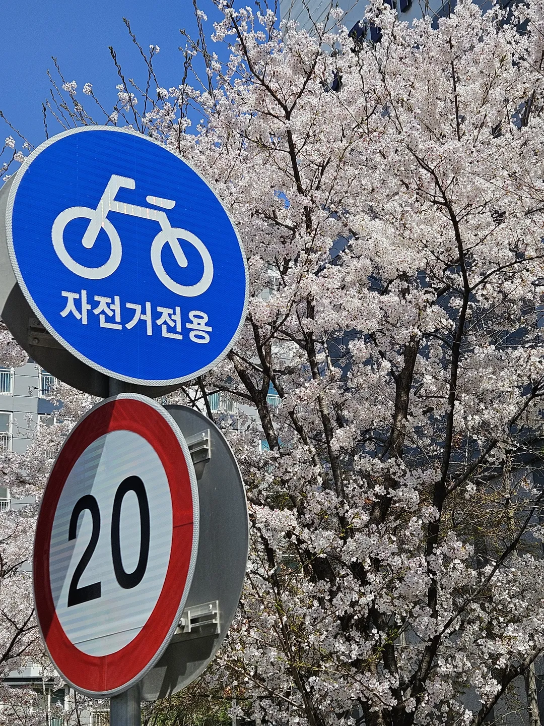 써먼하우스 사진 8