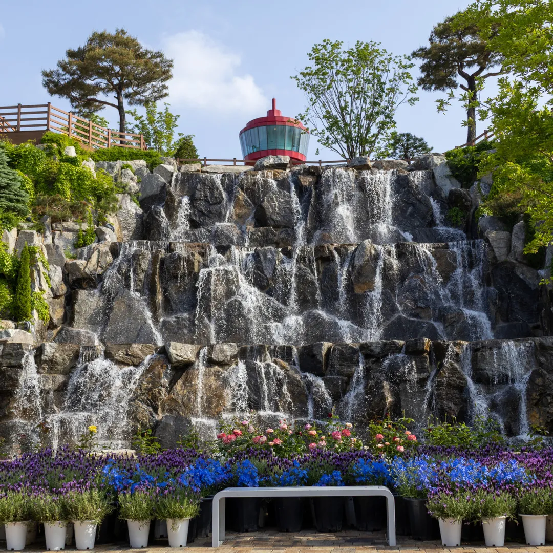 용인자작나무숲