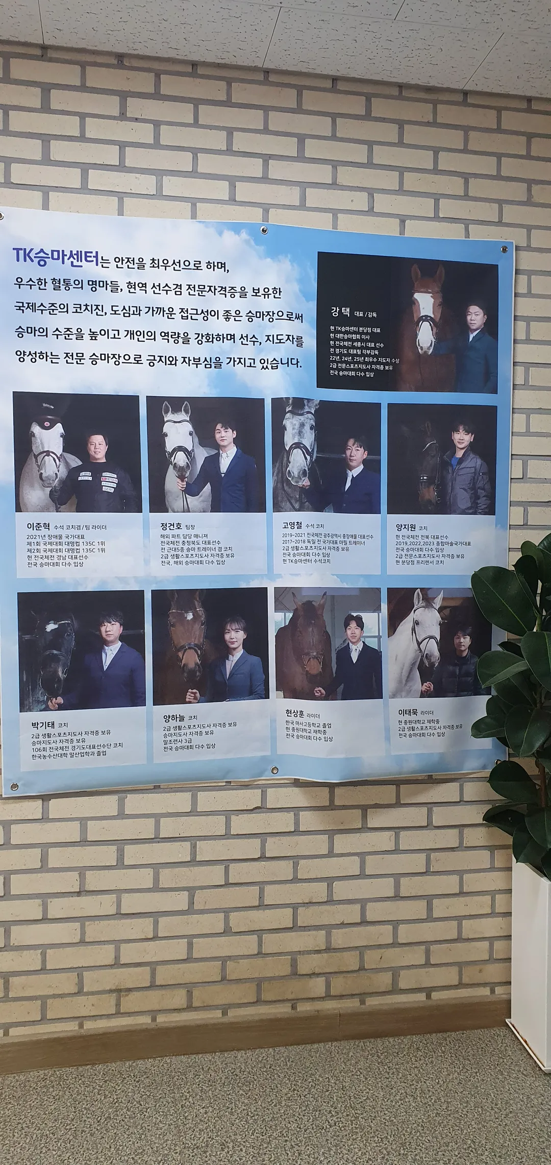 티케이승마센터 분당점 사진 8