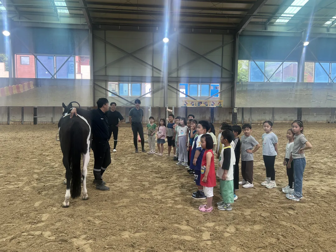 티케이승마센터 분당점 사진 7
