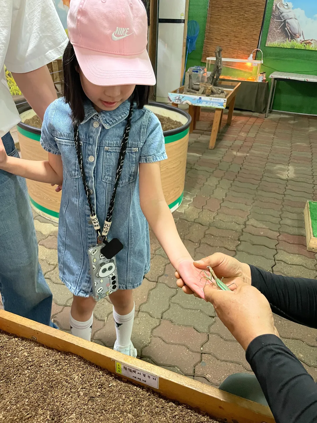 벅스월드 곤충 체험 농장 사진 18