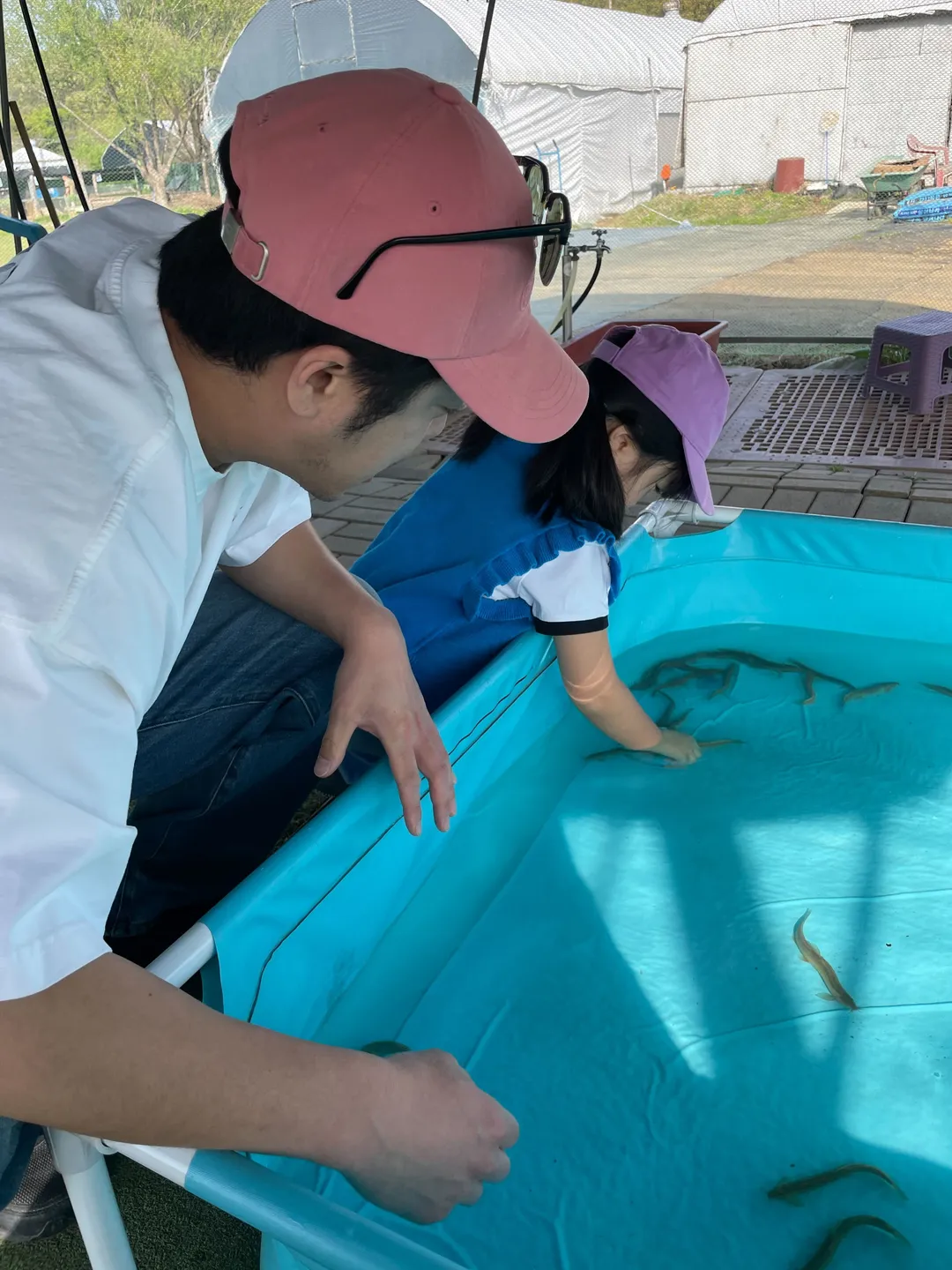 벅스월드 곤충 체험 농장 사진 15