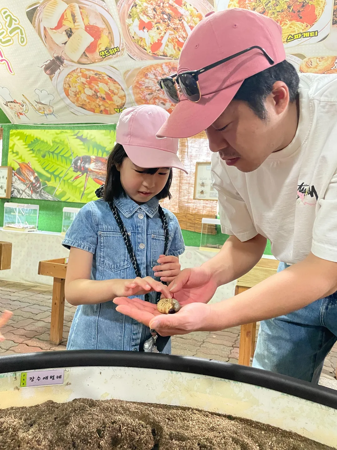 벅스월드 곤충 체험 농장 사진 8