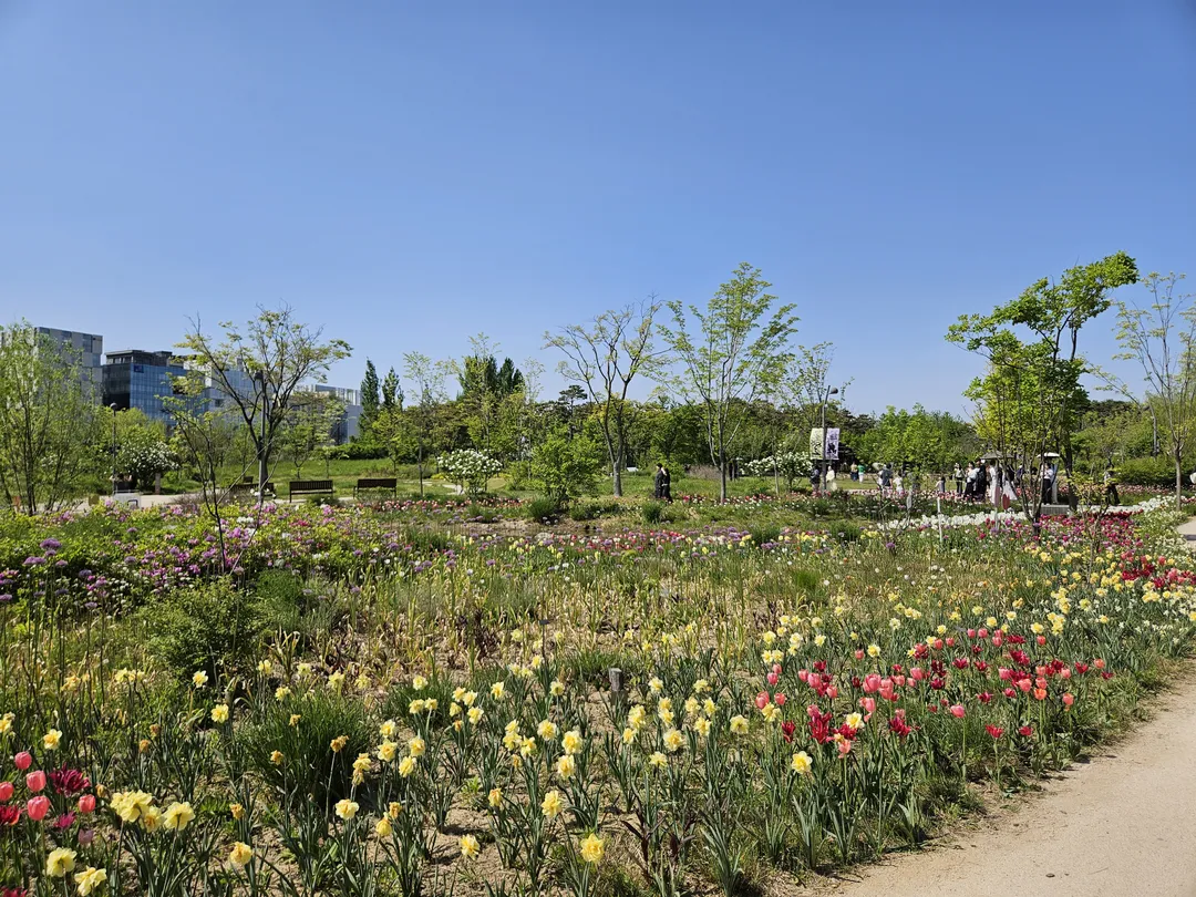 Seoul Botanic Park photo 17