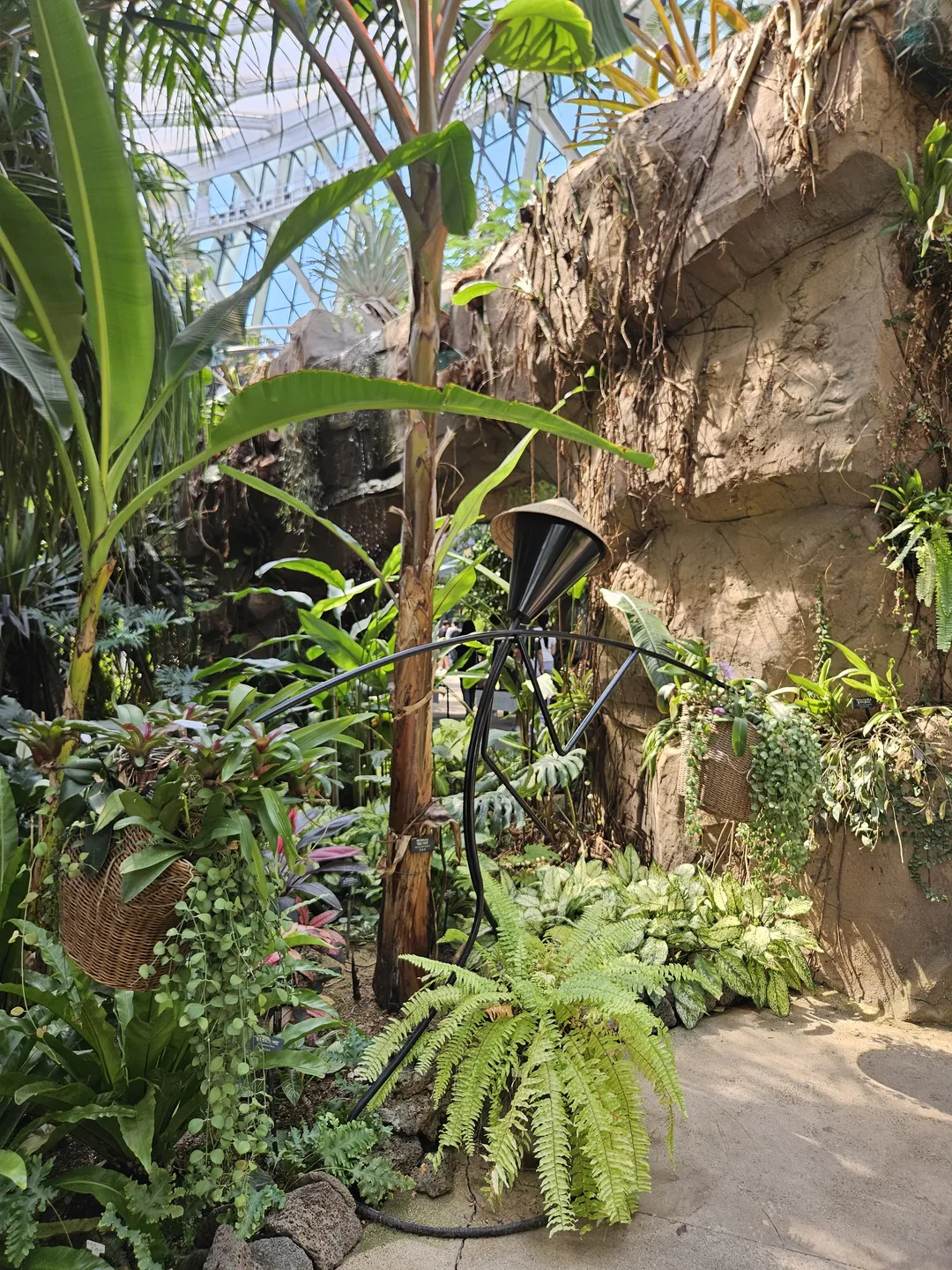 Seoul Botanic Park photo 13