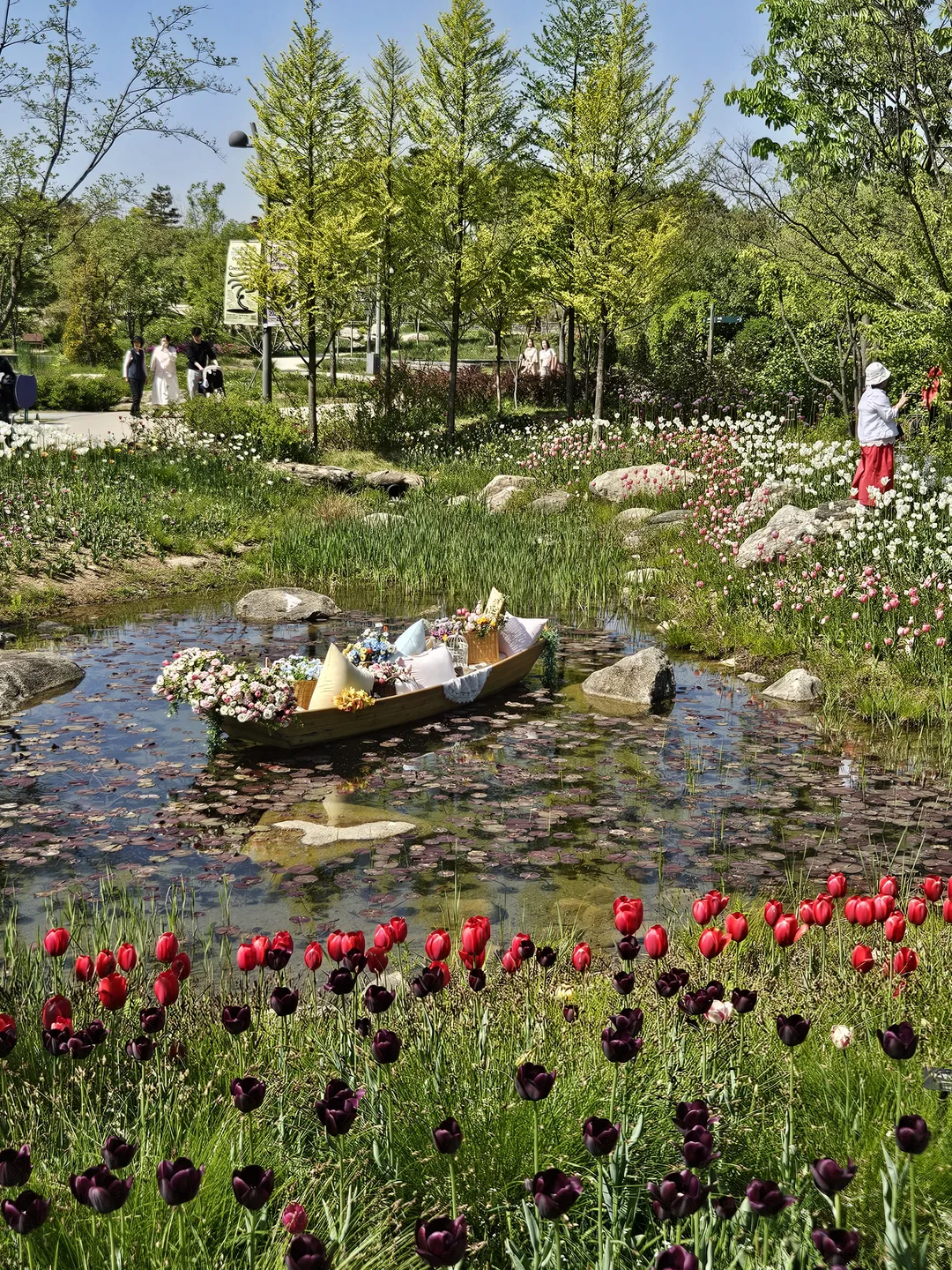 Seoul Botanic Park photo 15