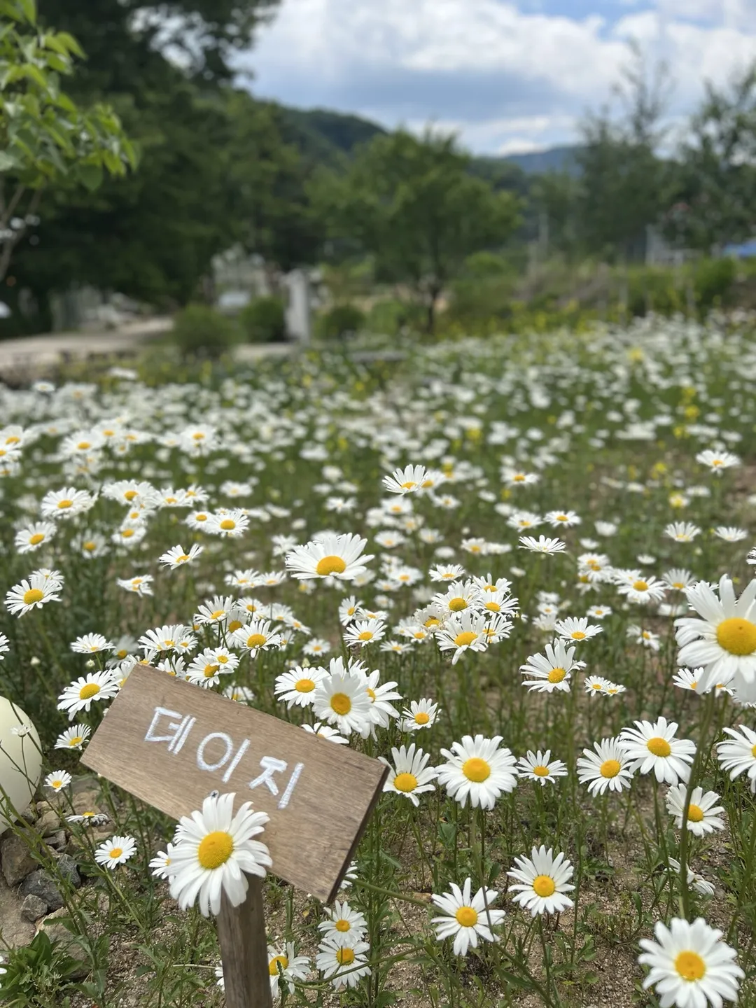 Flore photo 31