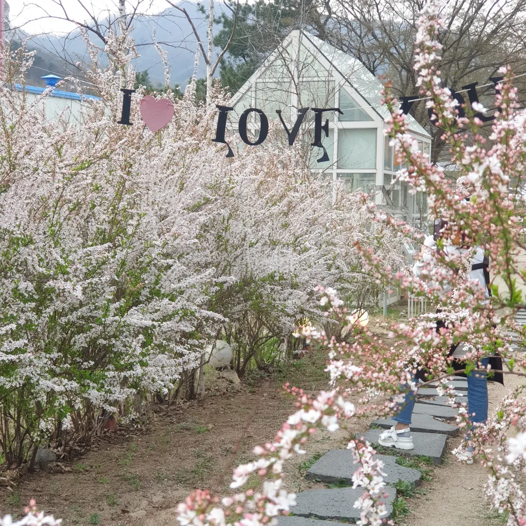 Flore photo 34