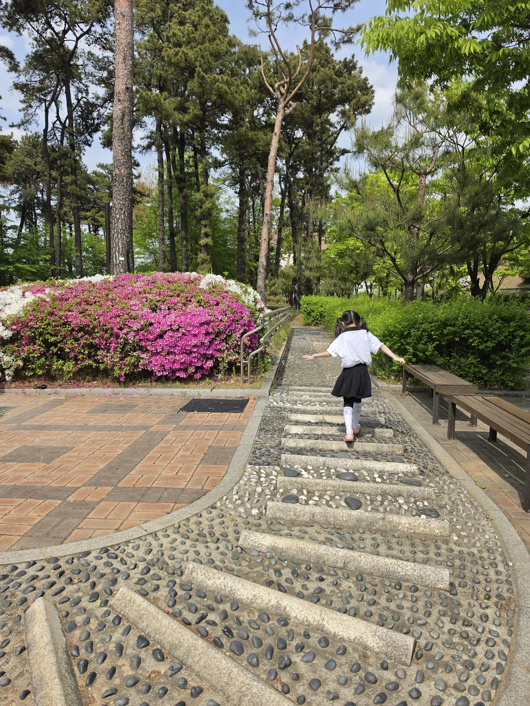 다람산공원 사진 8