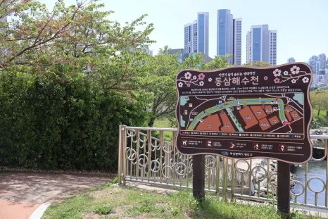 부산복합문화공간 새모 사진 12