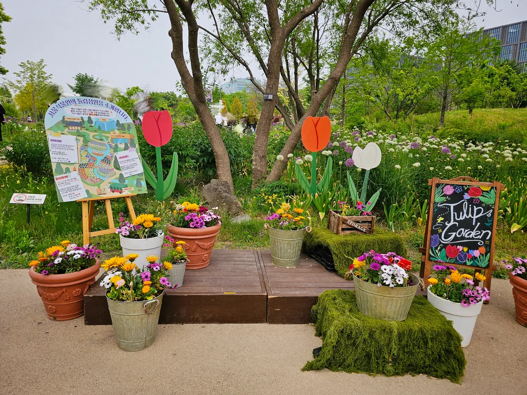 Seoul Botanic Park photo 19