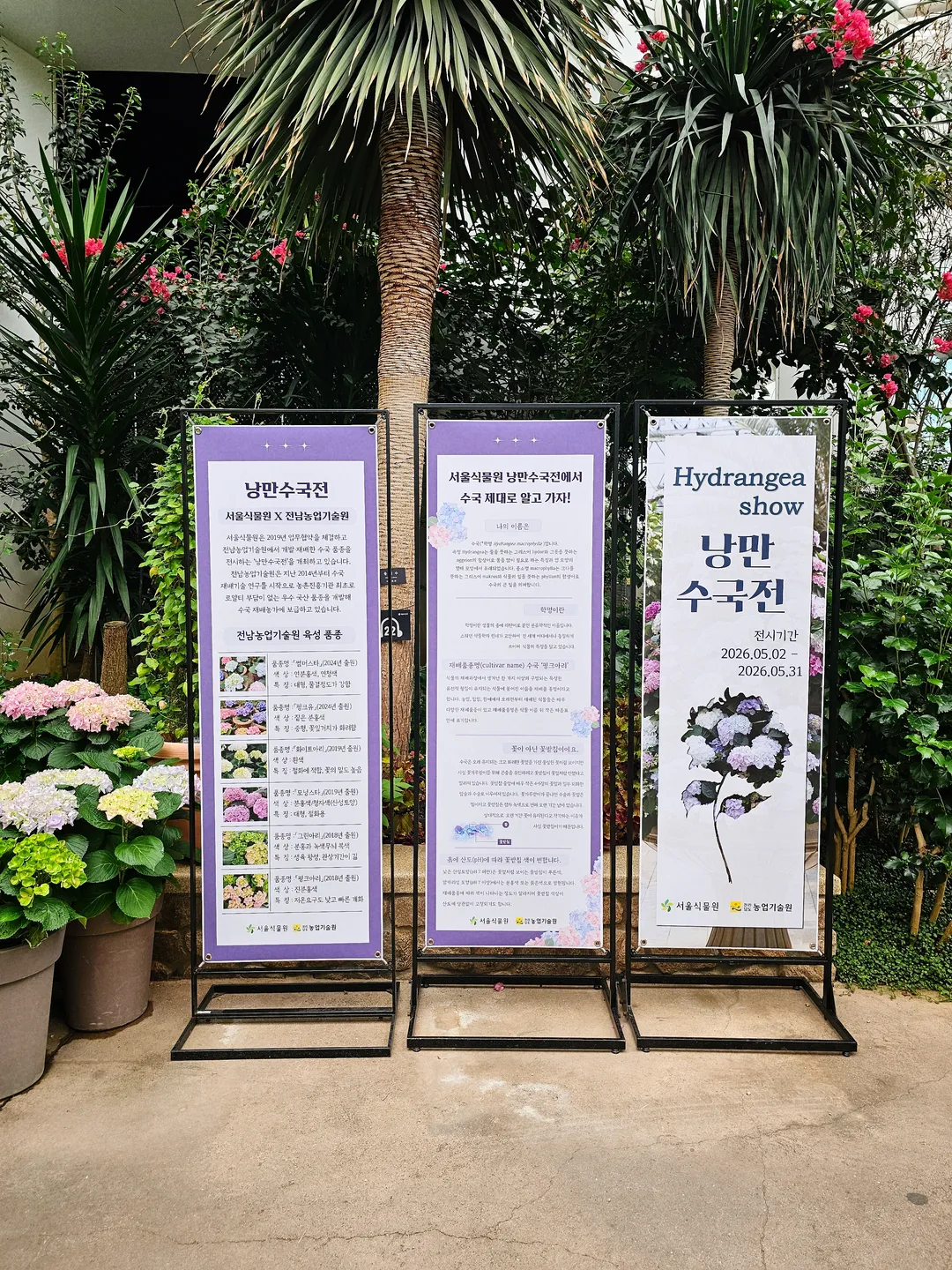 Seoul Botanic Park photo 20