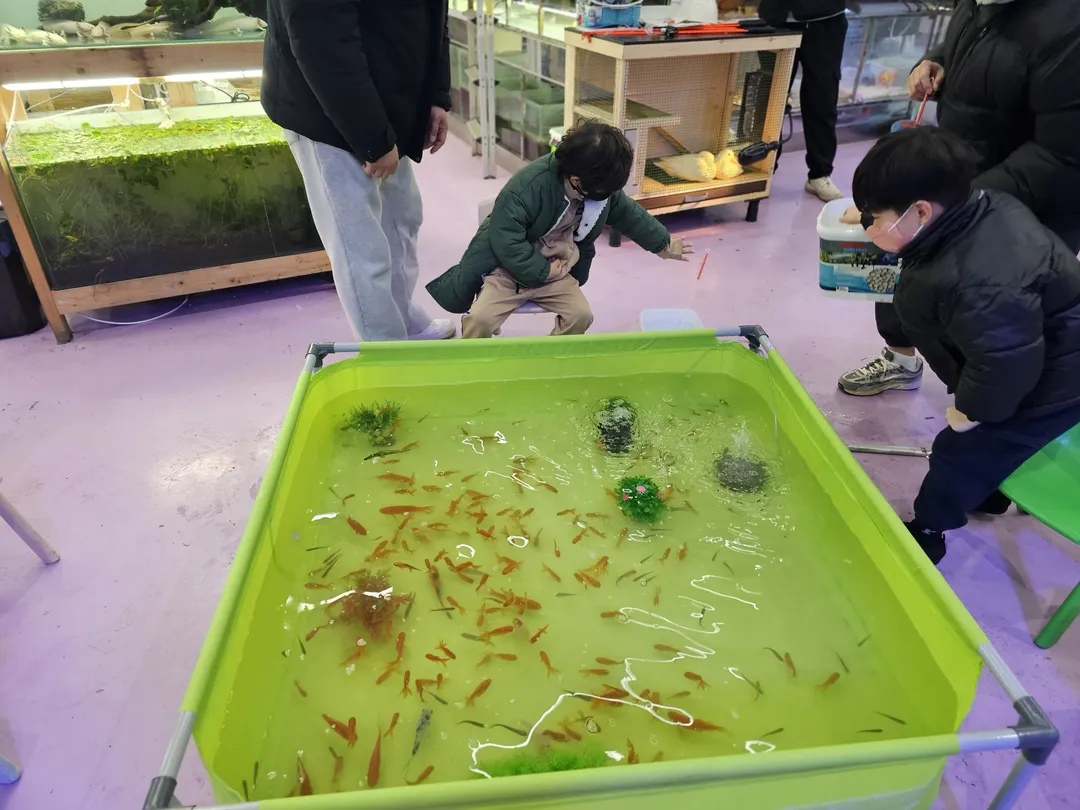 상아쿠아