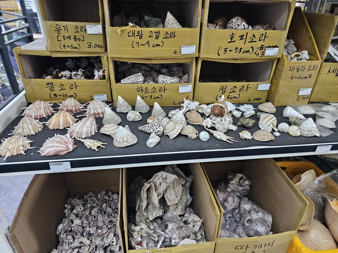 상아쿠아 사진 9