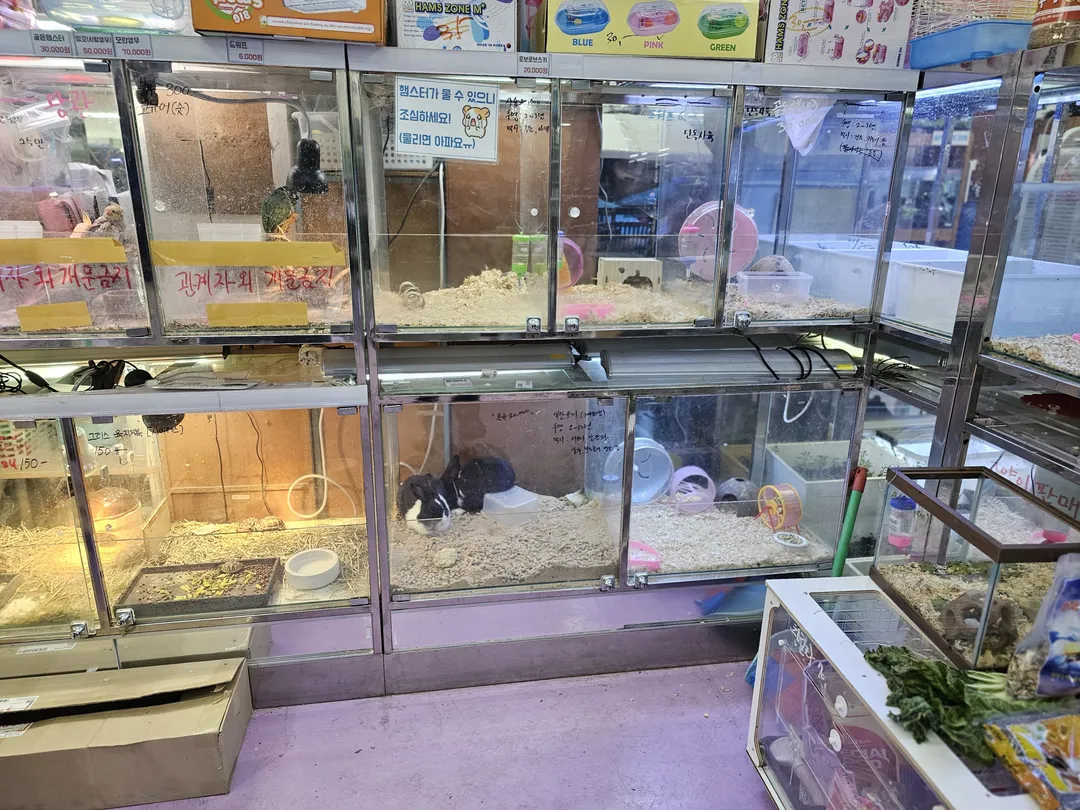 상아쿠아 사진 14