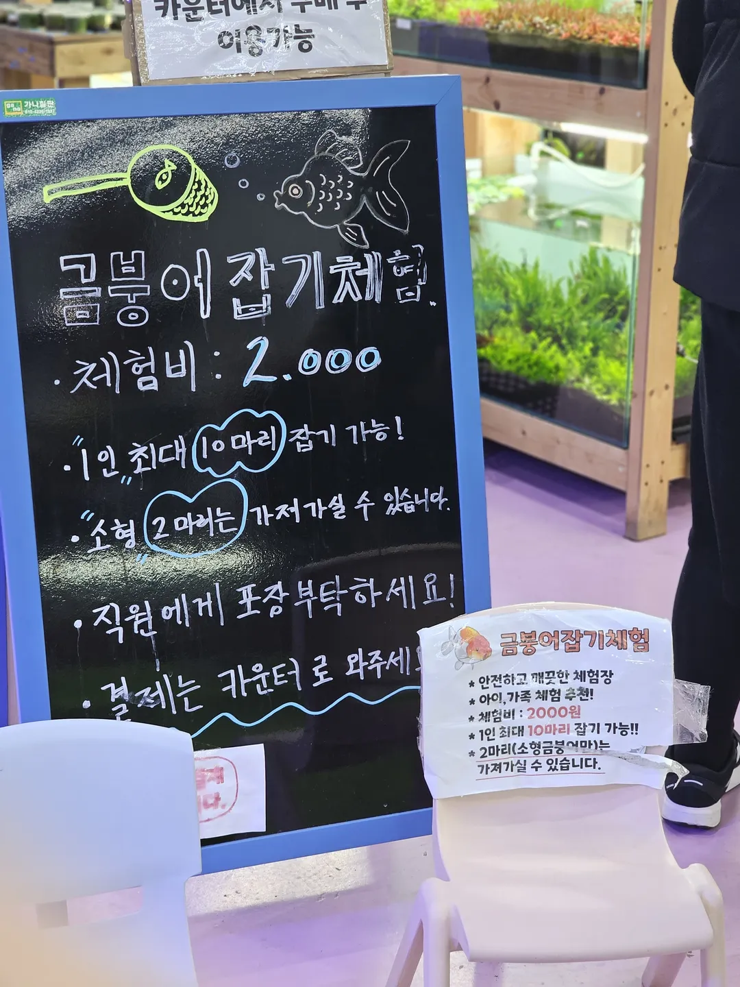 상아쿠아 사진 11