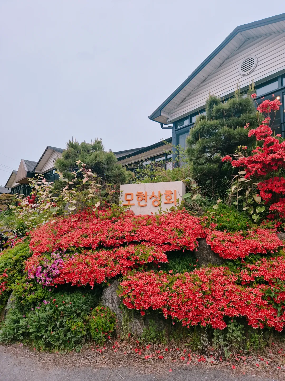 모현상회 사진 24