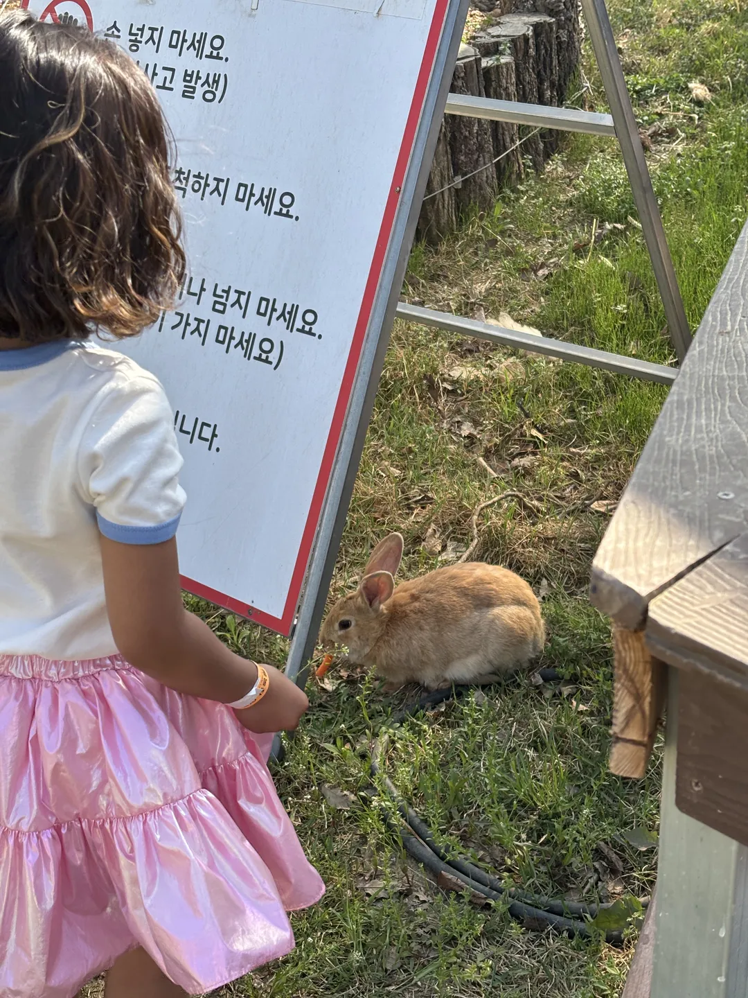 정동체험마을