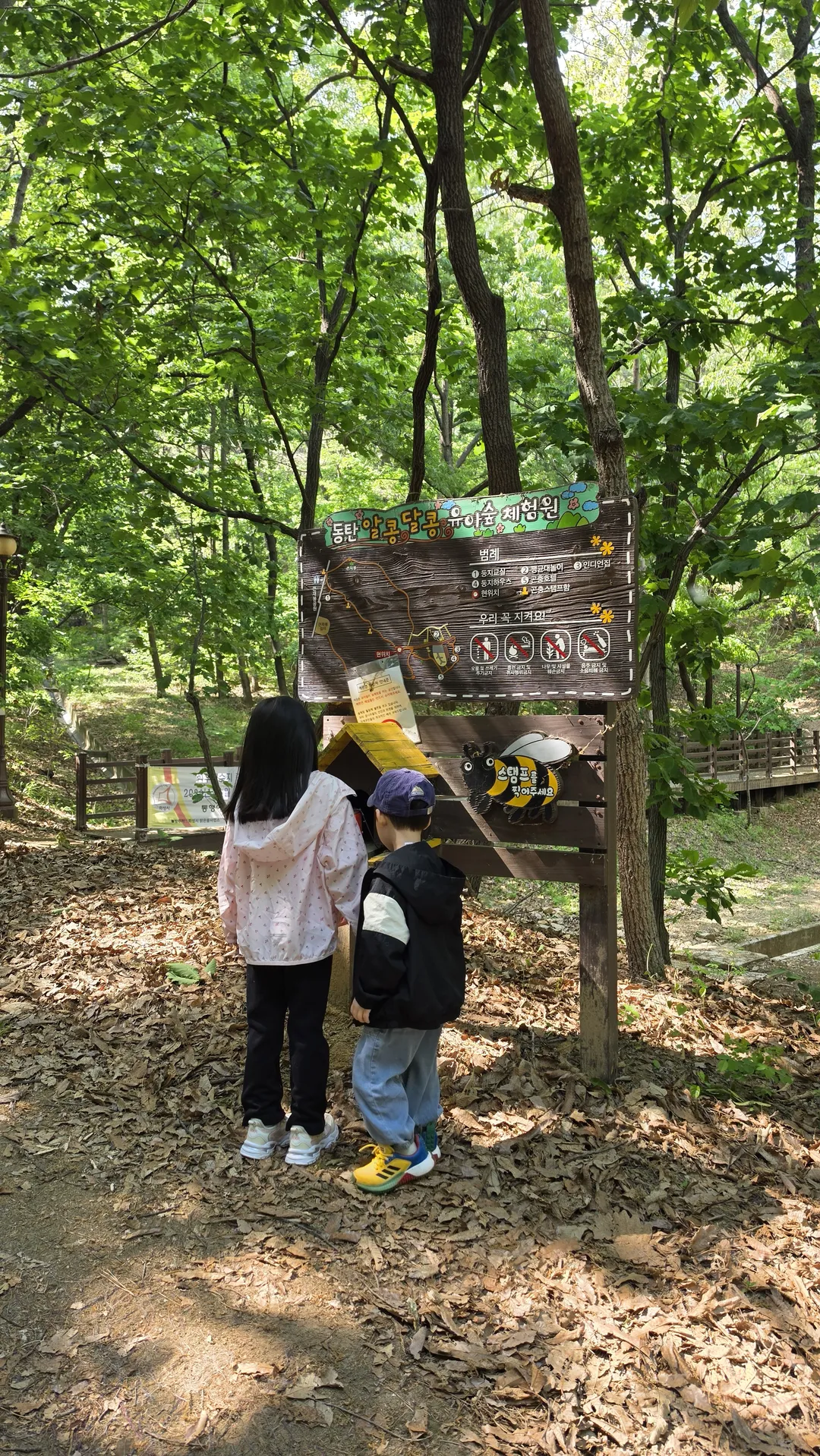 Alkong Dalkong Infant Forest Experience Center photo 15