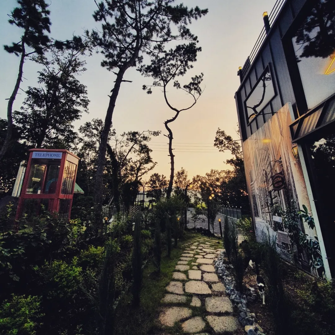 바다보다 사진 11