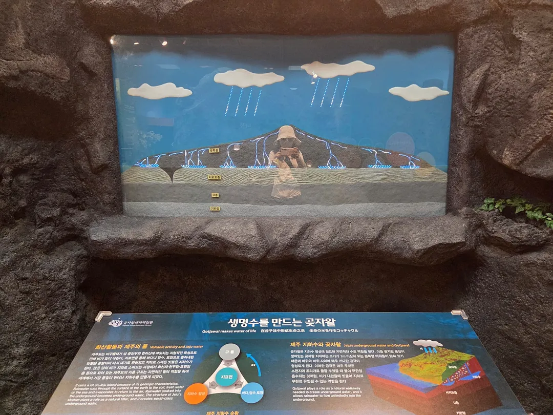 곶자왈생태체험관 사진 6