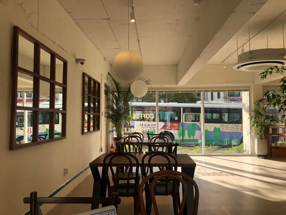 셀라스 사진 8