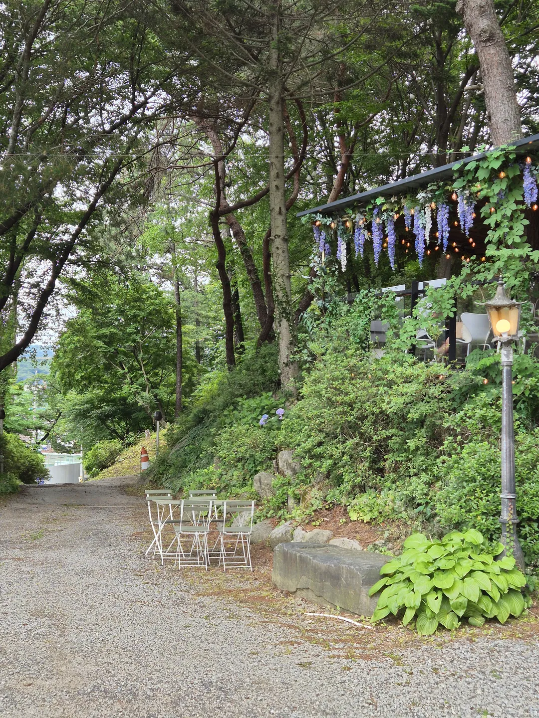 청와살롱 사진 15