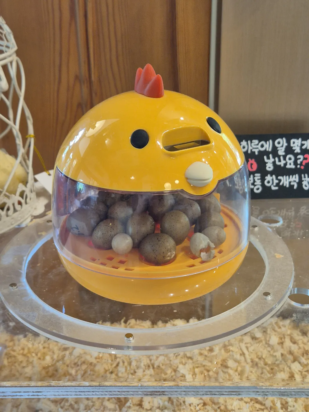 청와살롱 사진 7