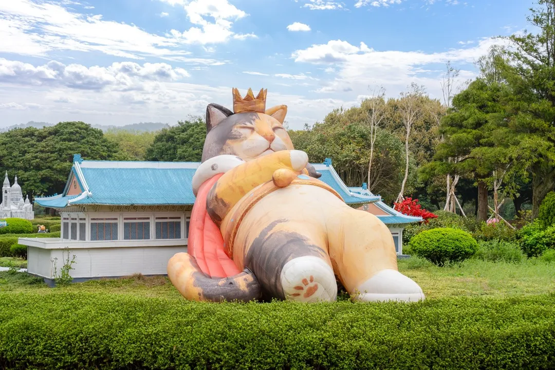 돌코리숲