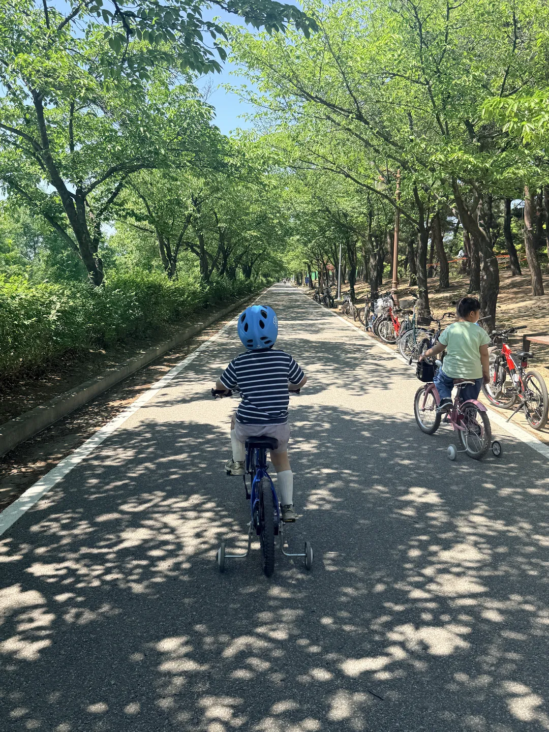 동락공원(자전거대여소) 사진 7
