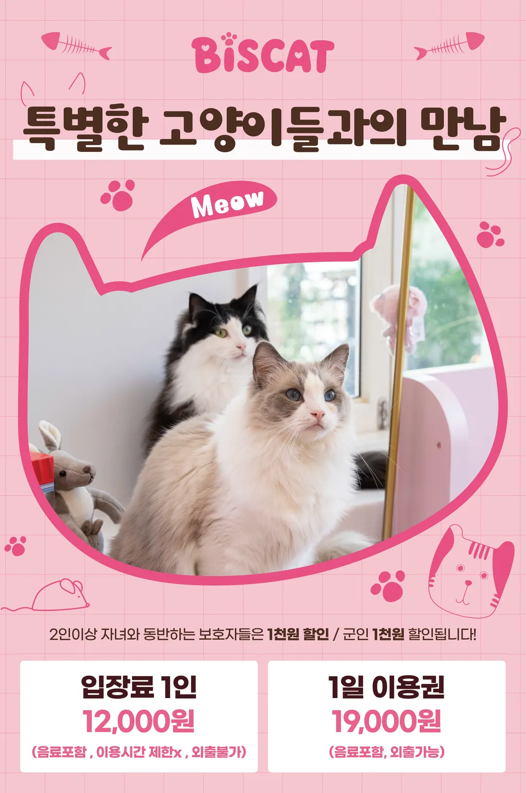 비스캣고양이카페 사진 12