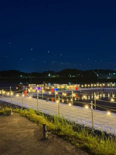 오죽헌 전통 뱃놀이 체험시설 사진 16