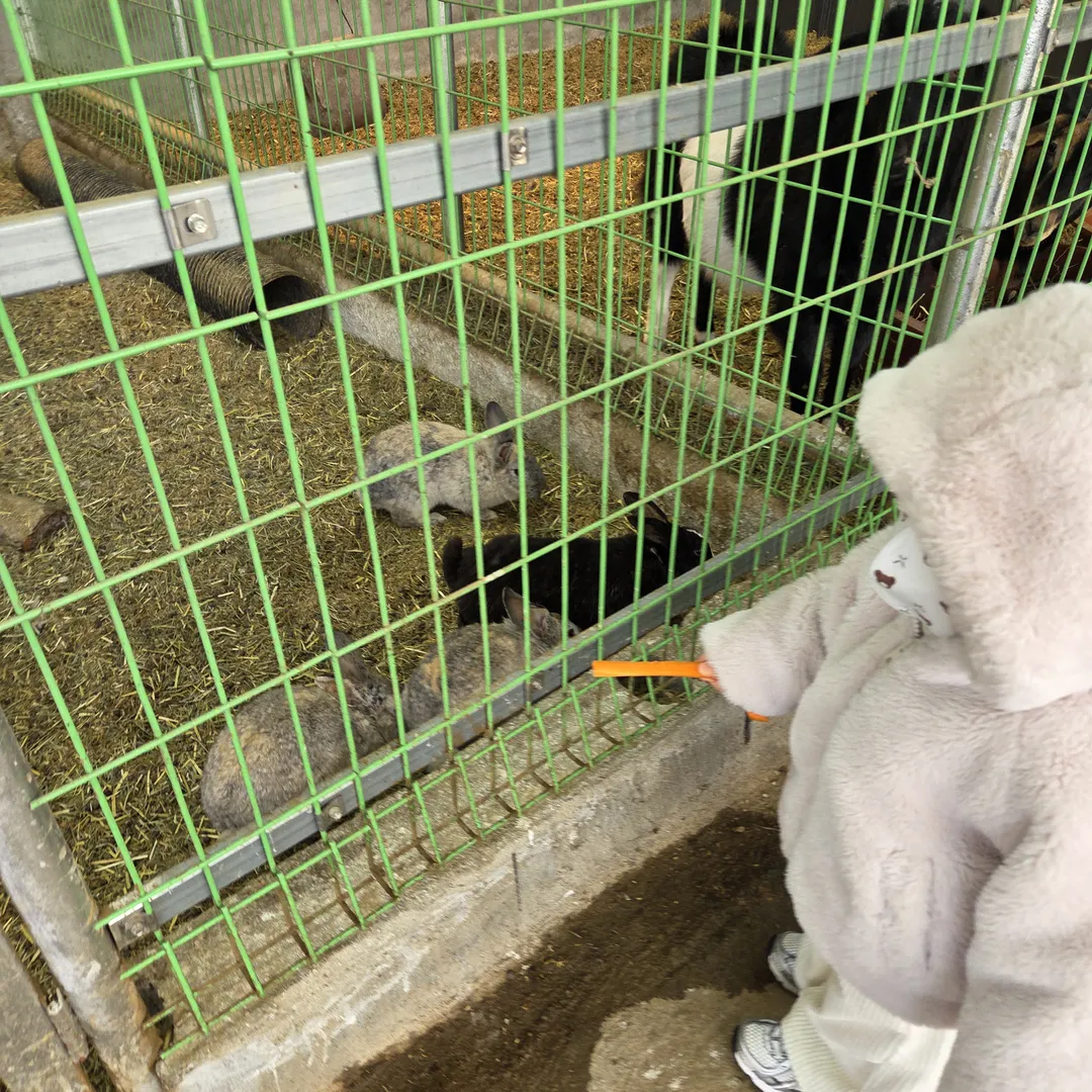 산너머그집 농촌체험장 사진 8