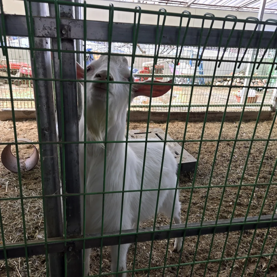 산너머그집 농촌체험장 사진 7