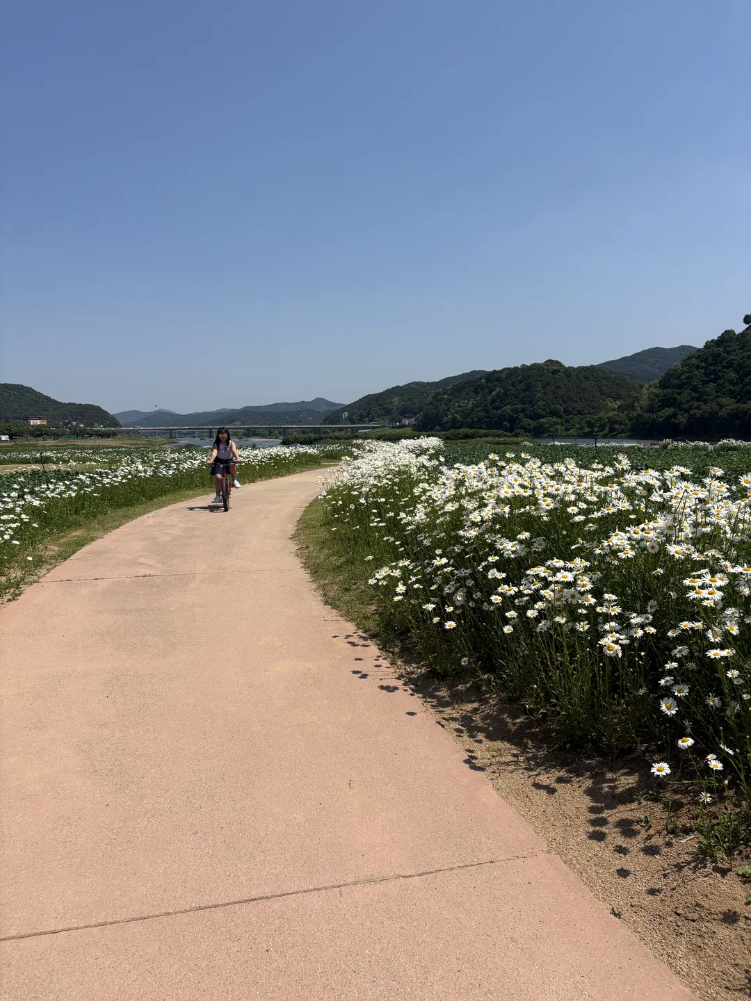 미르섬