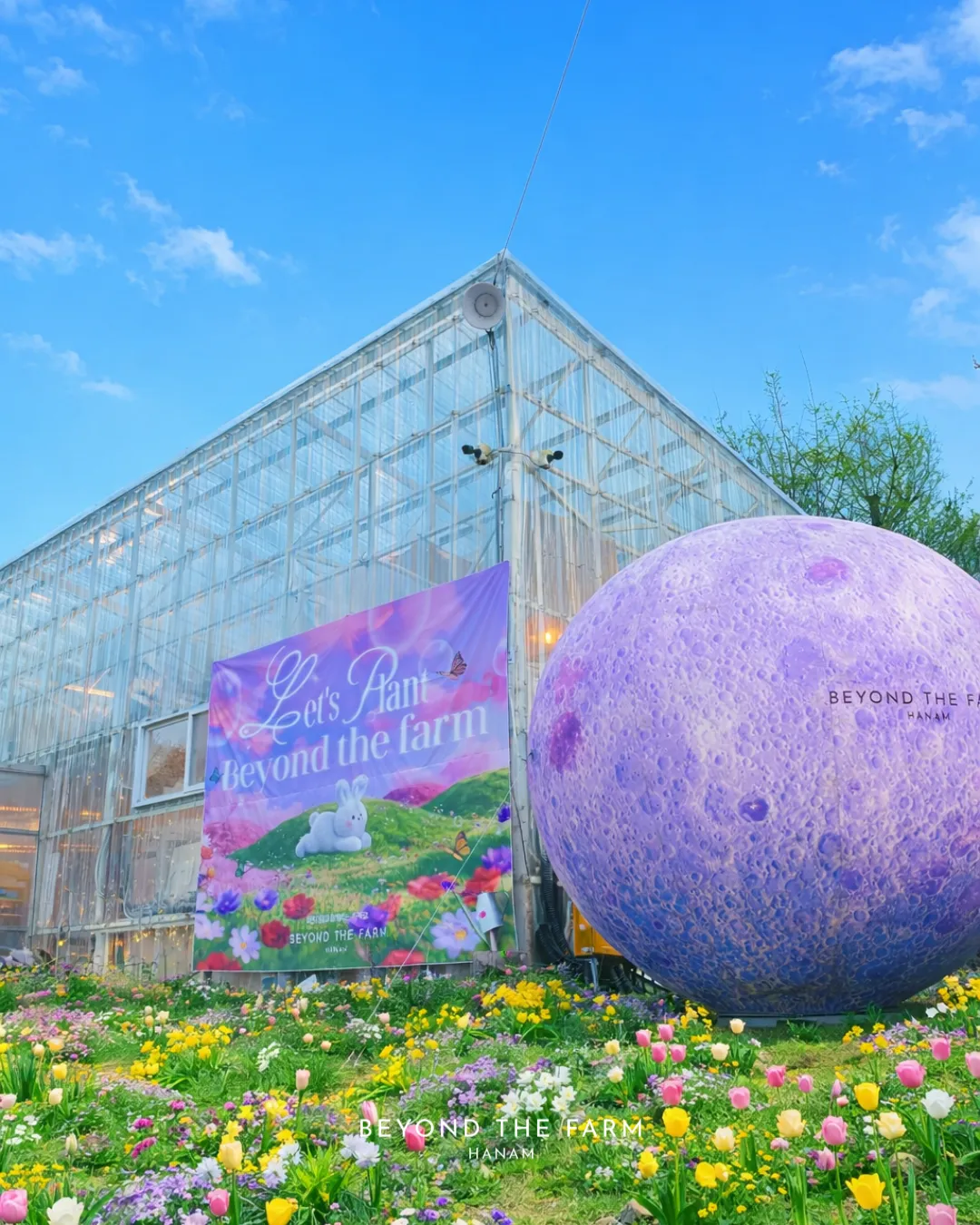 ビヨンダーファーム治癒農場セルフバーベキュー場 写真 6