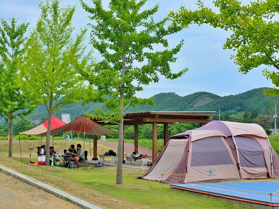 임고강변공원 사진 14