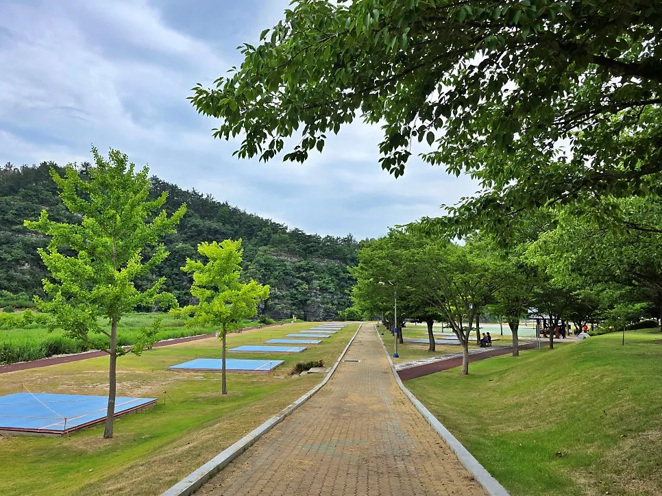 임고강변공원 사진 13