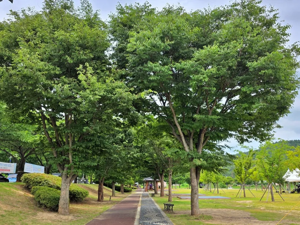 임고강변공원 사진 15