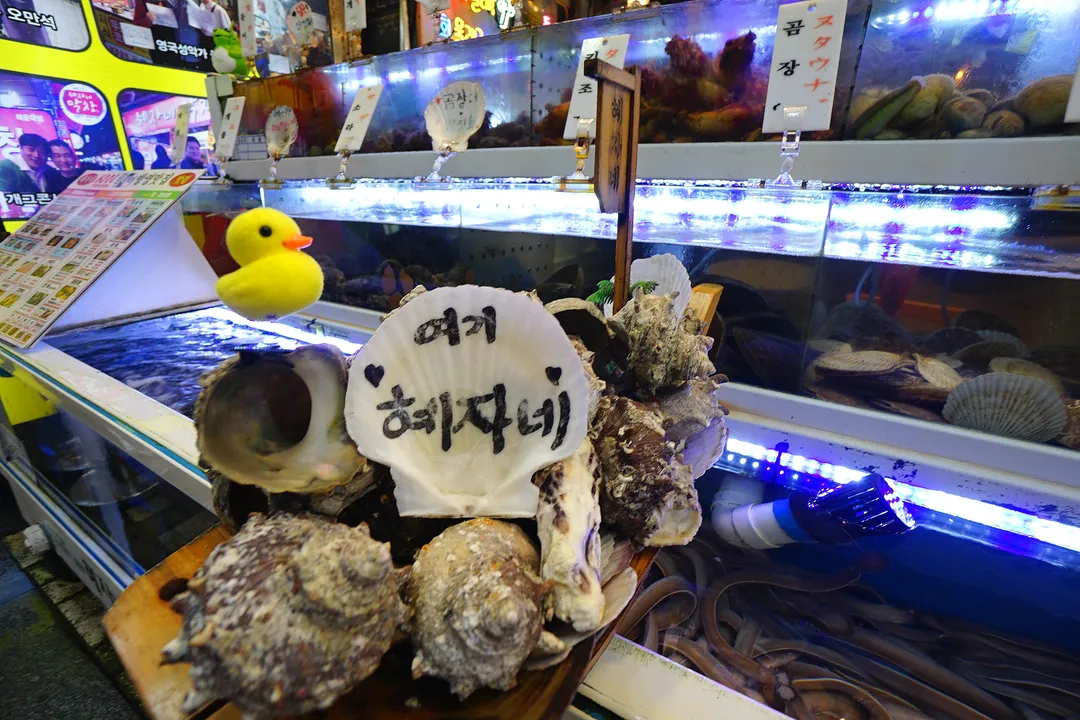 혜자네 산곰장어 본점 사진 7