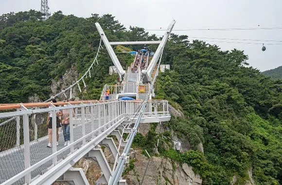 송도용궁구름다리 사진 6