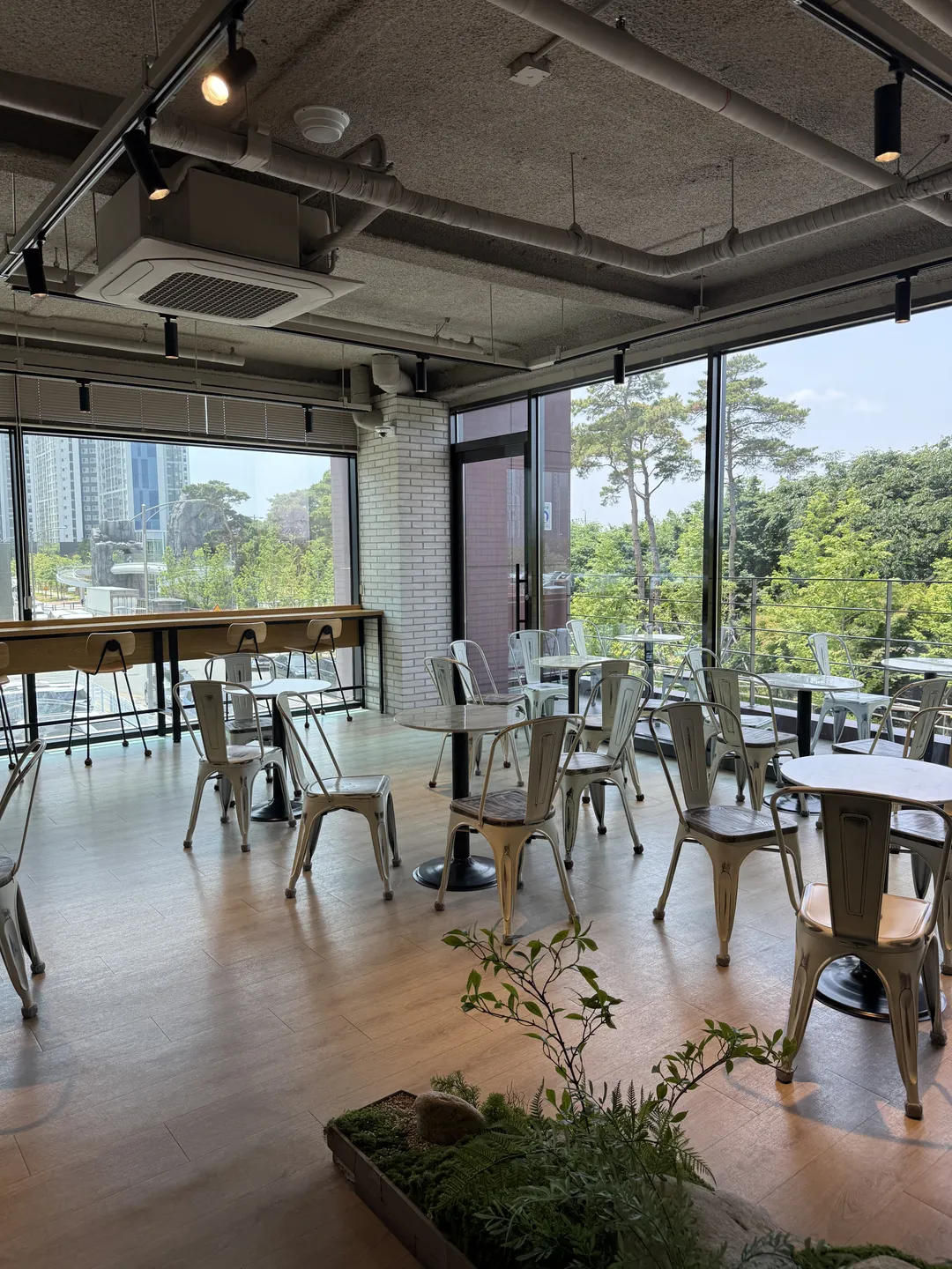 한라축산정육식당 제주흑돼지한우 대구신월성점 사진 7
