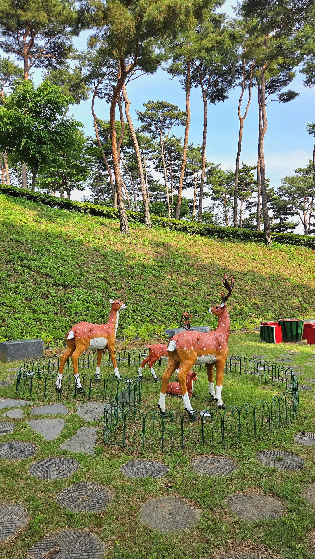 홍성솔바람테마파크